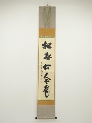 前大徳　藤井誡堂筆　「松無古今色」一行書　肉筆紙本掛軸（共箱）